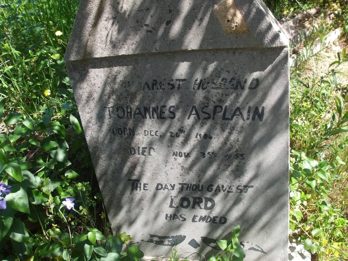 ASPLAIN Johannes 1904-1955