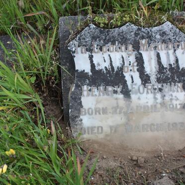 FORTUIN Henry 1917-1936