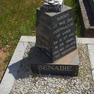 BENADIE Willem Alwyn 1963-1966