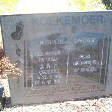 KOEKEMOER J.A.F. 1916-1993