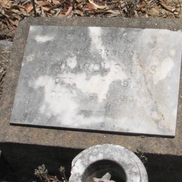 UYS Bernardus 1912-1934