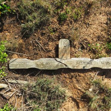 TITUS Chaniel 1988-1988