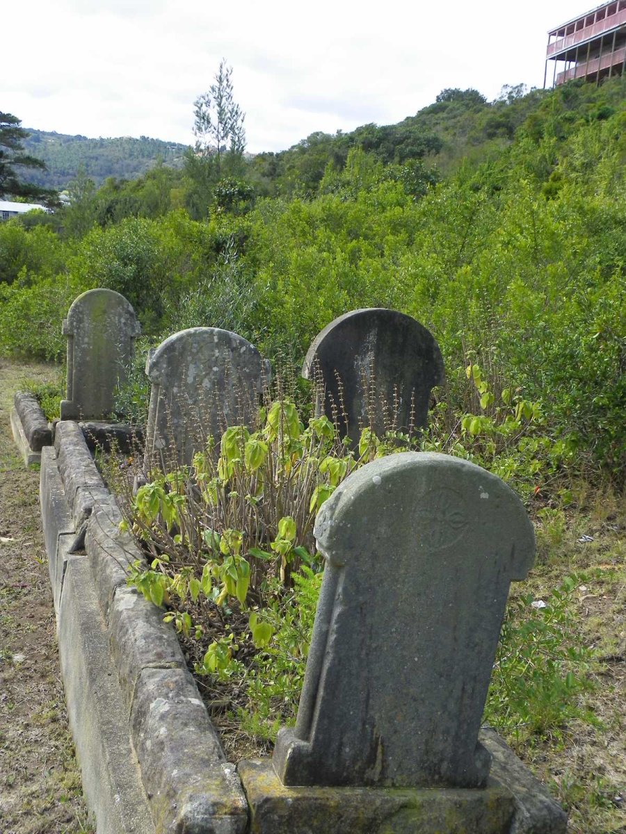 2. Overview / Oorsig