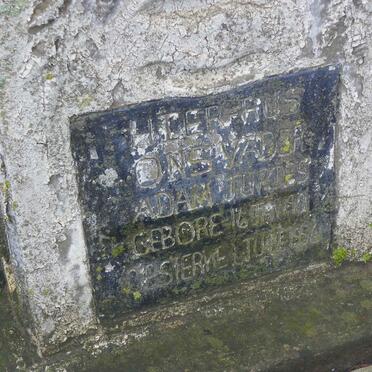 JURIES Adam 190?-1956