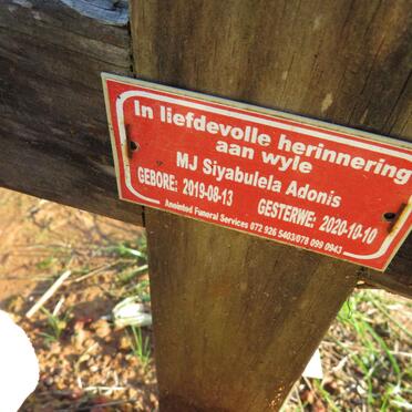 ADONIS M.J. Siyabulela 2019-2020