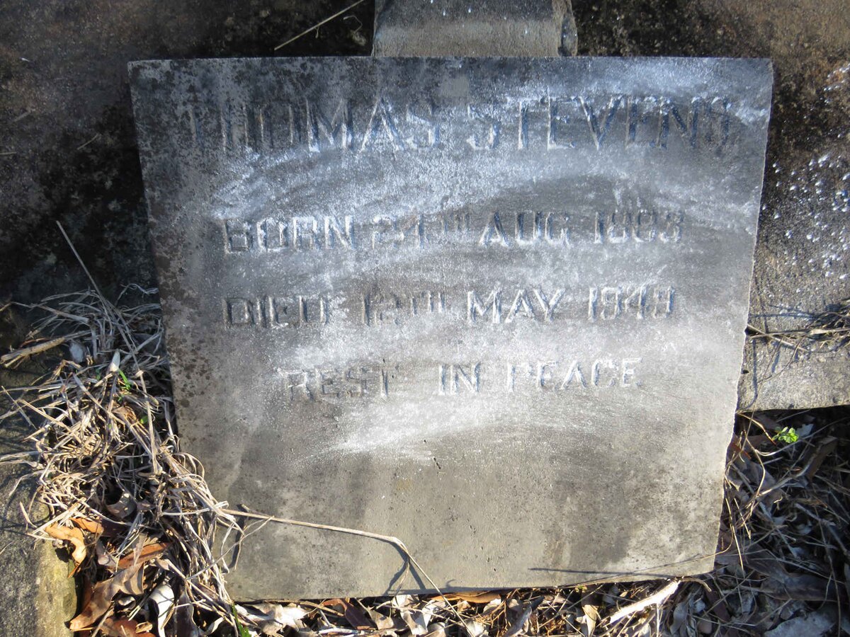 STEVENS Thomas 1883-1949