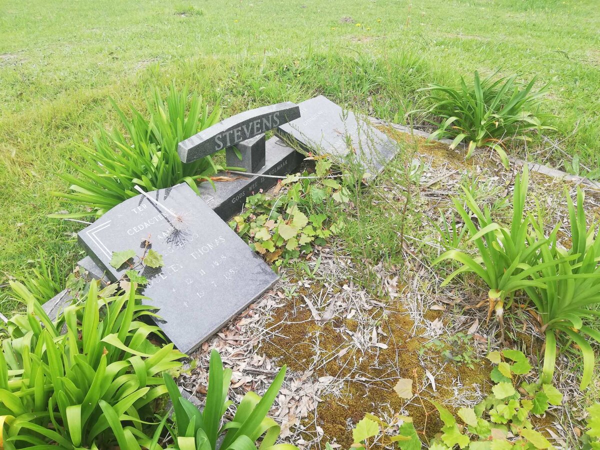 STEVENS Dudley Thomas 1898-1893 &amp; Susanna Johanna TERBLANCHE 1900-1986