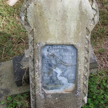 OLIVIER Hester Petronella Jakoba 1877-19?