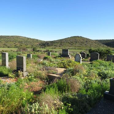 Western Cape, GEORGE district, Klein Fontein 22_1, Blossoms, farm cemetery