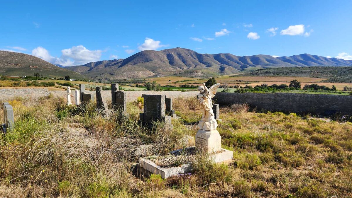 1. Oorsig / Overview