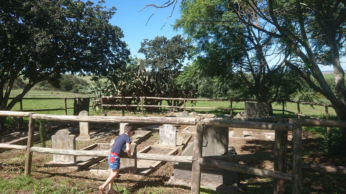 1. Oorsig / Overview