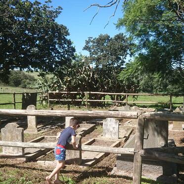 1. Oorsig / Overview