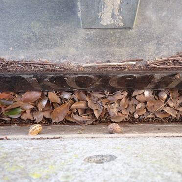 KOCH M.H. 1923- & C.M. 1924-1990 _1