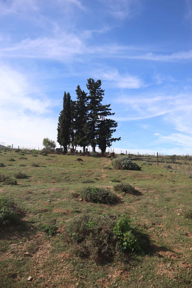 1. Oorsig / Overview