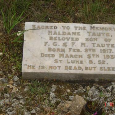 TAUTE Haldane 1917-1938