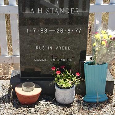 STANDER A.H. 1898-1977 &amp; C.M. 1910-1989