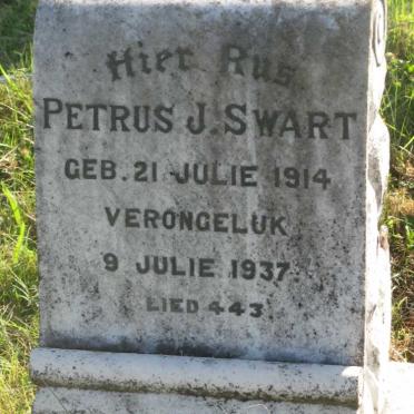 SWART Petrus J. 1914-1937