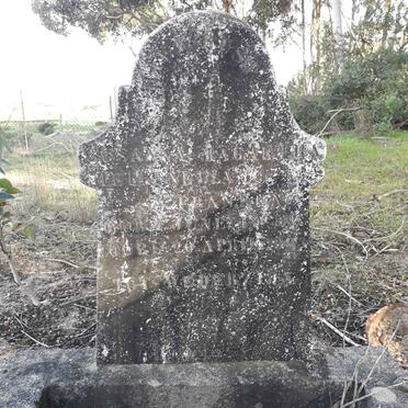 FRANKEN Susanna Magaretha Petronella 1910-1936