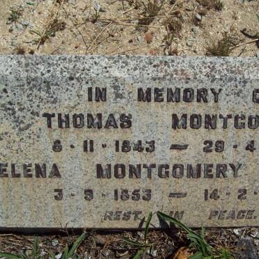 MONTGOMERY Thomas 1843-1917 &amp; Elena HAMAN 1853-1929