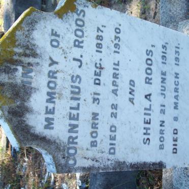 ROOS Cornelius J. 1887-1930 :: ROOS Sheila 1915-1931 :: ROOS Alice -1935