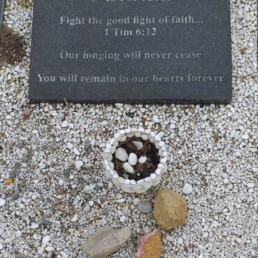 SHAW Mark 1955-2011