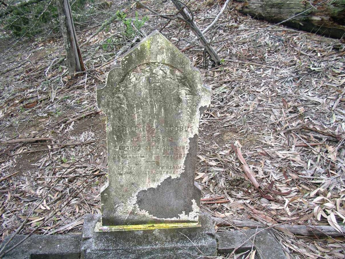 PLESSIS Hermanus Jacobus, du 1859-19??