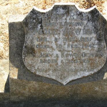 O - Surnames starting with the letter O