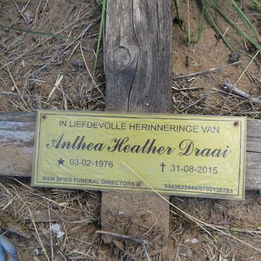 DRAAI Anthea Heather 1976-2015