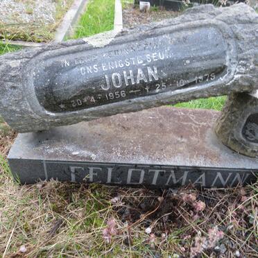 FELDTMANN Johan 1956-1979