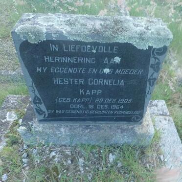 KAPP Hester Cornelia nee KAPP 1905-1964