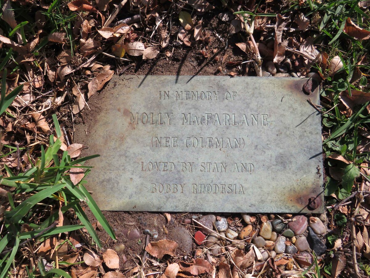 MACFARLANE Molly nee COLEMAN 