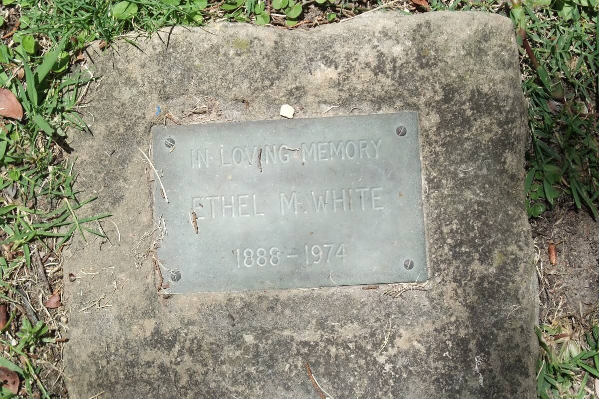 WHITE Ethel M. 1888-1974