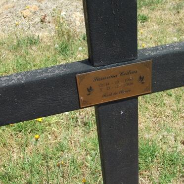 CEDRAS Susanna 1962-2006