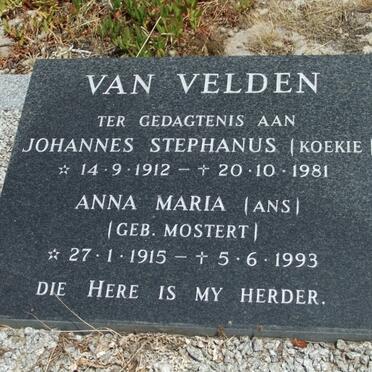 V - Vanne :: Surnames - V