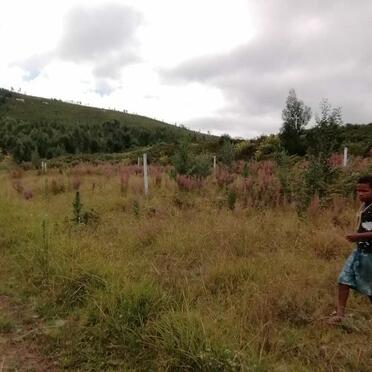 1. Overview / Oorsig