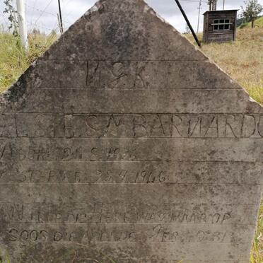 Western Cape, KNYSNA district, Buffels Nek Forest Reserve 50_1, cemetery