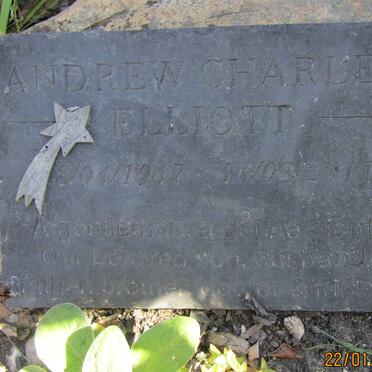 ELLIOTT Andrew Charles 1947-2011
