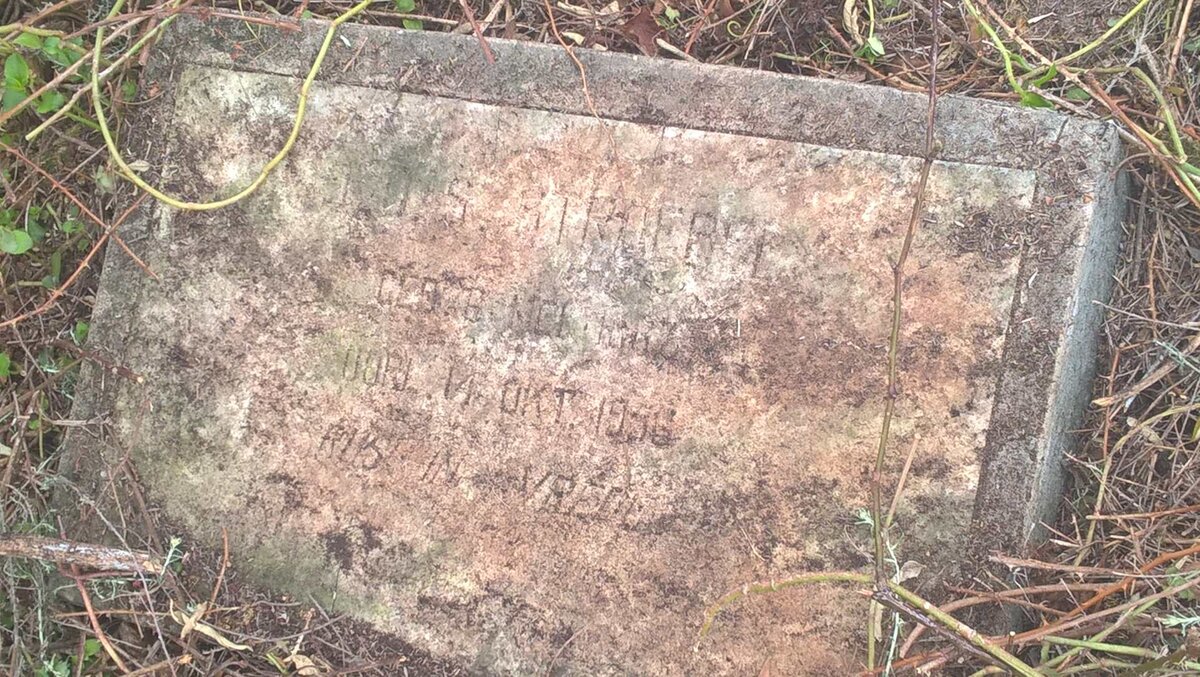 STROEBEL D.J.S. 1886-1956