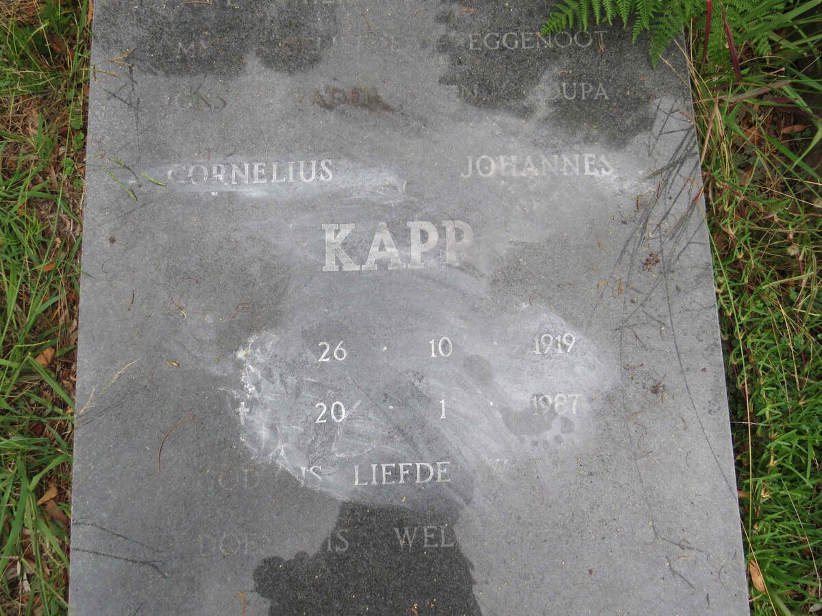 KAPP Cornelius Johannes 1919-1987