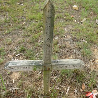 PREEZ Johannes, du 1979-2015