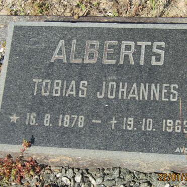 ALBERTS Tobias Johannes 1878-1963