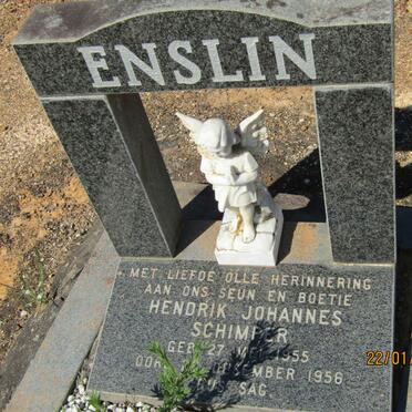 ENSLIN Hendrik Johannes Schimper 1955-1956