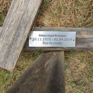 P - Vanne :: Surnames - P