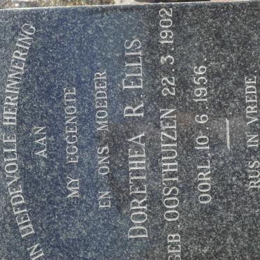 ELLIS Dorethea R. nee OOSTHUIZEN 1902-1956