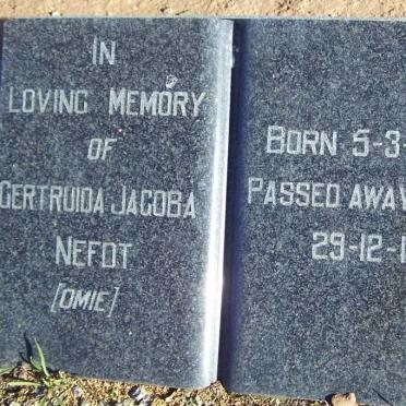 NEFDT Gertruida Jacoba 1868-1966