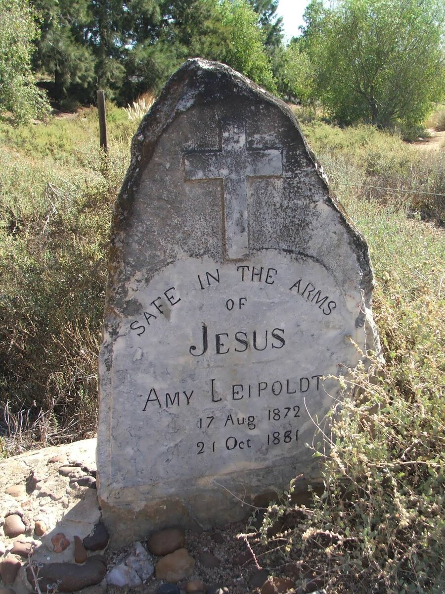 LEIPOLDT Amy 1872-1881