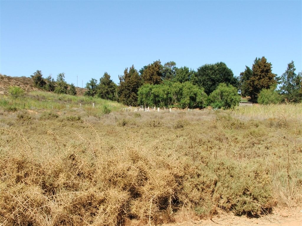 3. View on the cemetery from the road
