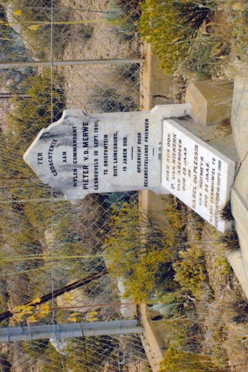 MERWE Pieter, van der -1901 :: VAN NIEKERK P. -1901 :: DU PLESSIS Sarel -1901