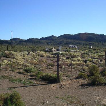 2. Overview on cemetery