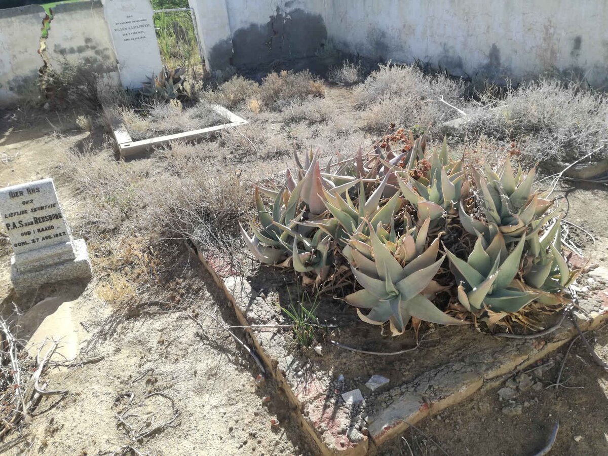 2. Overview / Oorsig